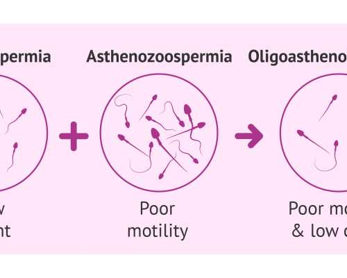 香港验血当天吃油腻,多大可以去香港查性别_几周检测最准，需要准备什么!