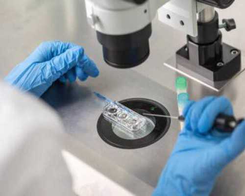 香港验血曝光 没怀孕,做试管婴儿能选择男女吗？