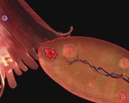 沉浮古玩虫电视剧全集高清_夏季佐餐宜选择紫菜