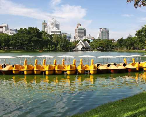 如何自己去香港验血查男女,排卵后同房吃什么助孕