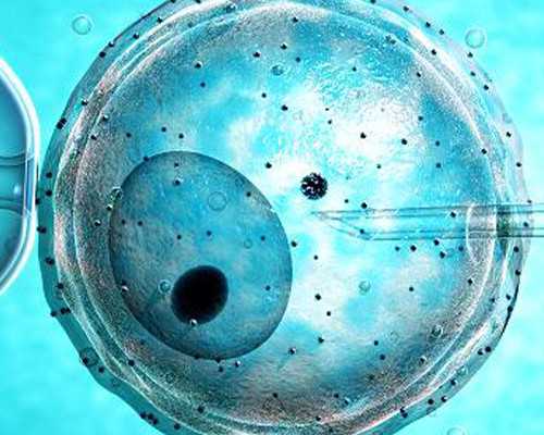 合肥105军区医院做试管,合肥105医院试管快不快