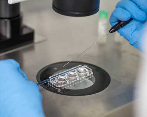 古玩交易网哪个最好 7788,巨蟹座如何过新年