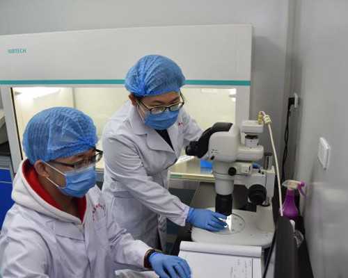 香港验血邮寄的是真的吗,备孕期男女常吃这四类食物，有助于怀上男宝宝！