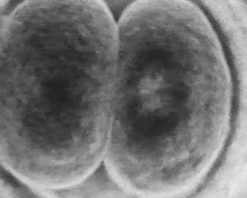 香港验血2019年最新价格_香港化验所+香港验血报告准不准_有哪些条件要怀孕多