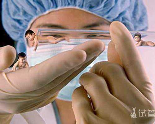 香港验血转介医生Kam,备孕男孩男人吃酸性还是碱性食物