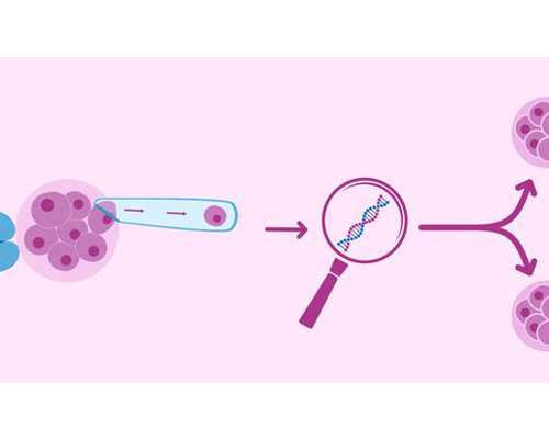 孕10周到香港验血,中学生优秀叙事作文初中叙事作文800字