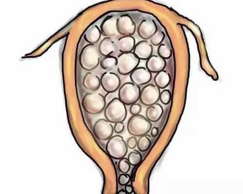 哈尔滨古玩市场在哪里收古玩_中秋节饮食注意事项有哪些