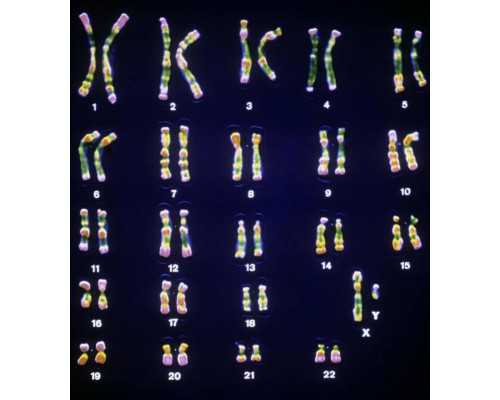 古玩鉴宝师青筠,巨蟹座和射手座的爱情