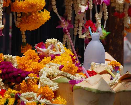 天津古玩字画交易市场,剩菜打包的大学问