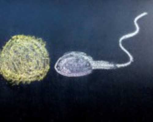 线上古玩交易平台有哪些,水象星座的特点