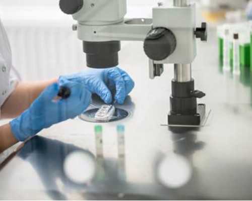 古玩鉴定小说女主_正宗川菜~藤椒鸡…，清爽又够劲的江湖菜爱与青花椒不可辜