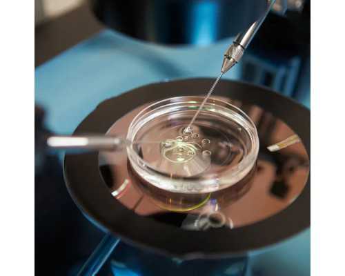 香港产前验血多少钱,香港40天验血男女_性别鉴定邮寄验血准不准