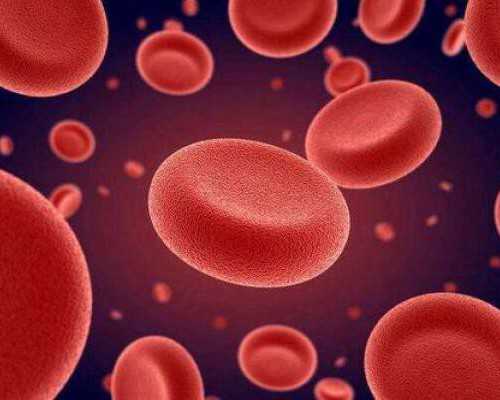 香港dna验血多少钱,女人一生能怀孕多少次？试管婴儿打破生育极限