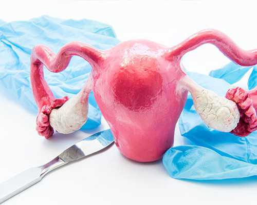 古玩人生全文免费阅读黄金,梦见锅