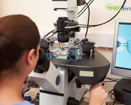 香港验血多少天比较准,国内艾滋病可以做试管婴儿吗？患艾滋怎么生育？