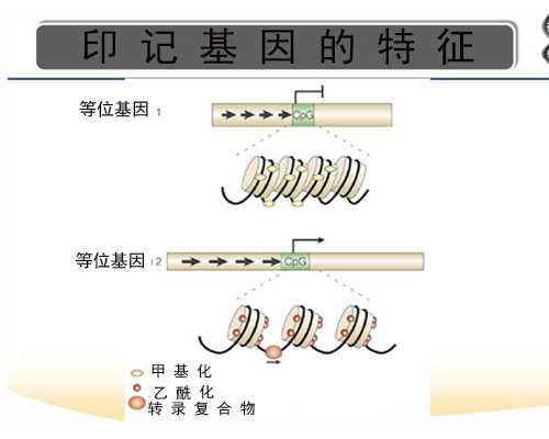 香港验血2千多元可以验吗,香港验血查男女准确率百分百吗,我的亲身经历分享