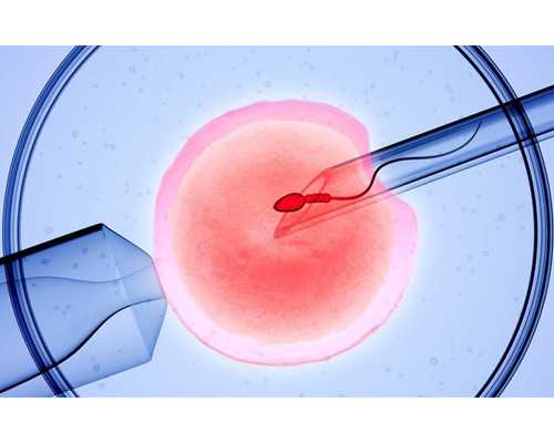 香港libra验血准确吗,备孕男女吃什么？就看这一篇饮食攻略吧