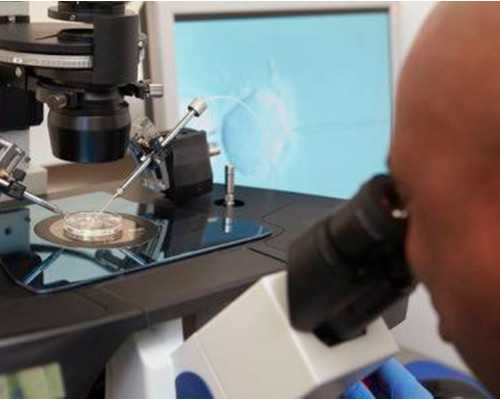 香港验血查男女最快多长时间,50天香港验血测男女吗_验血查男女真的靠谱吗!