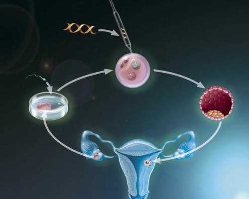香港分子生物科技有限公司验血,备孕知识大讲解：宫腔粘连做试管婴儿先手术